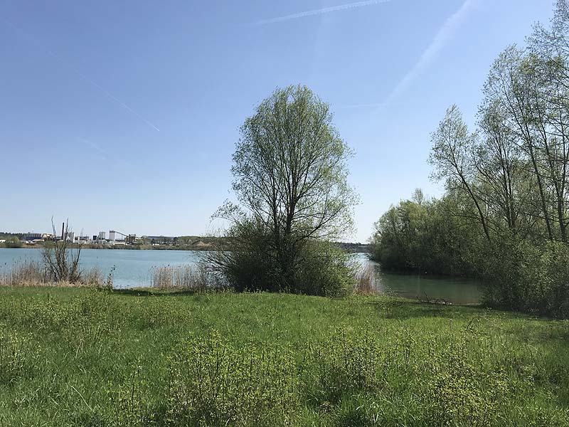 Dettelbach badesee Mainradweg